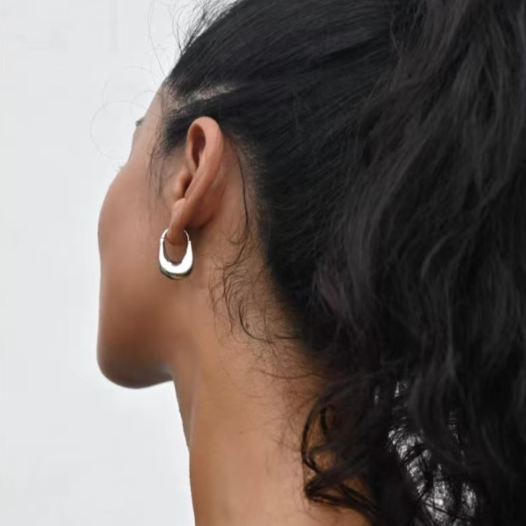 Aretes Cartera