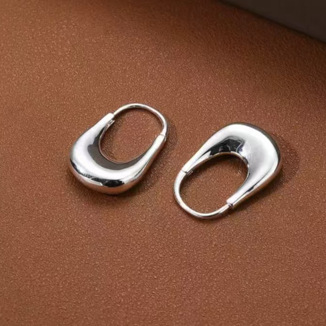 Aretes Cartera